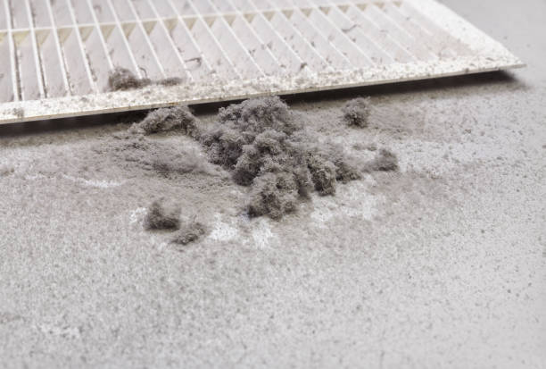 Best Air Duct Cleaning Company Near Me  in Hanamaulu, HI