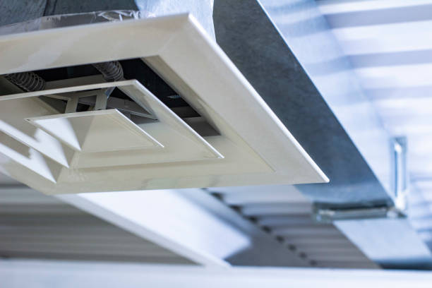Best Affordable HVAC Duct Cleaning  in Hanamaulu, HI