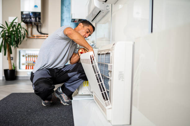 Best Professional Duct Cleaning Services  in Hanamaulu, HI