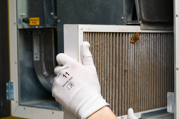 Best Affordable Air Duct Cleaning  in Hanamaulu, HI