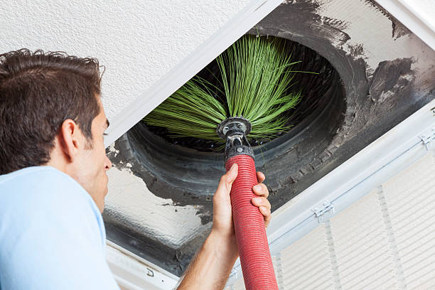 Best HVAC Maintenance and Cleaning  in Hanamaulu, HI