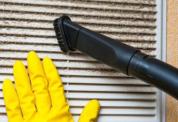 Best HVAC System Cleaning  in Hanamaulu, HI