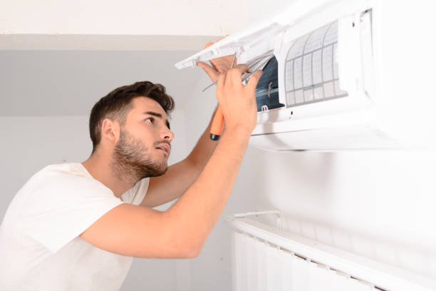 Best Duct Cleaning for Homes  in Hanamaulu, HI
